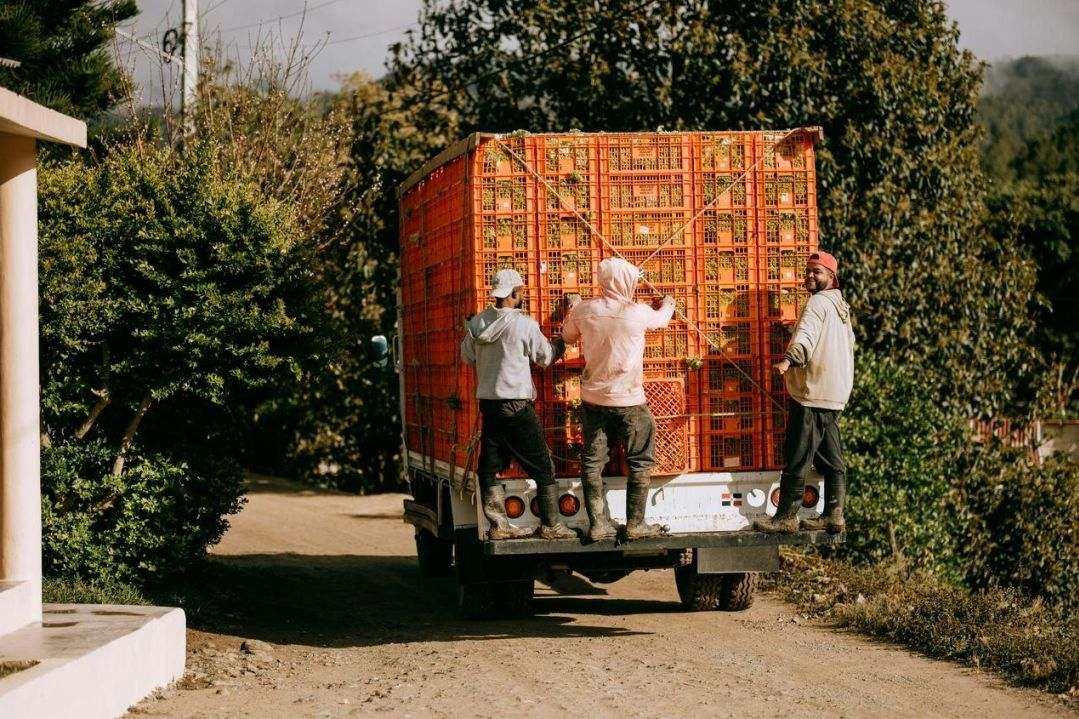Cold chain logistics